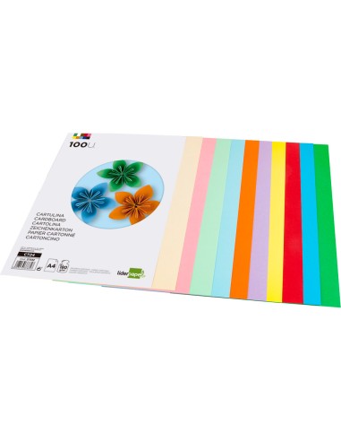 Cartulina Liderpapel A4 10 colores surtidos, pack 100 cartulinas